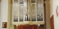 Organ case