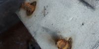 Corroded screws